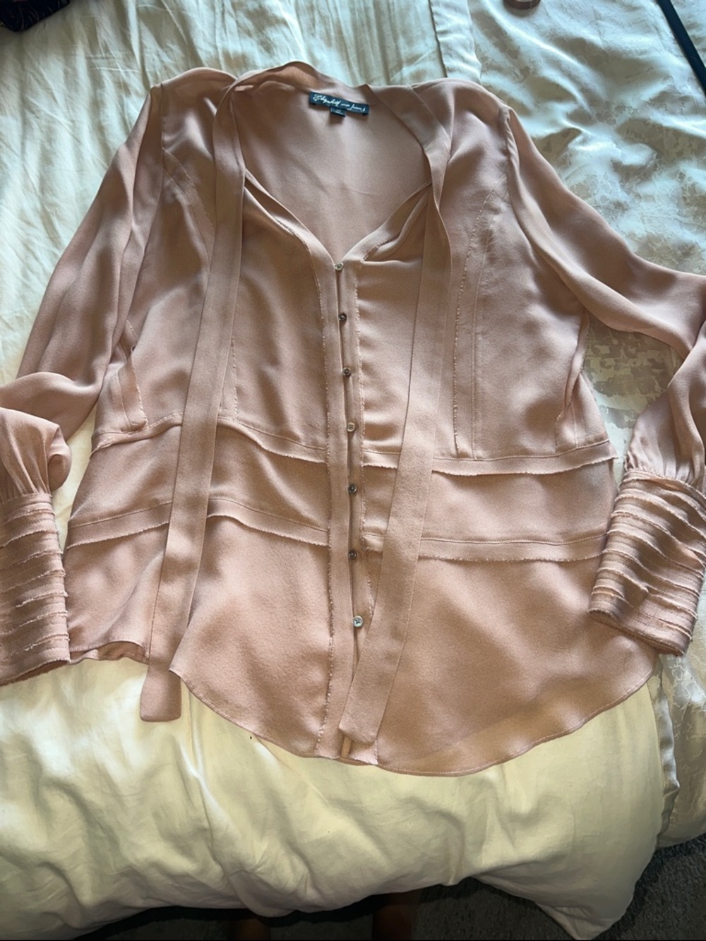 Elizabeth and James Blush Tie-Neck Button Front Blouse